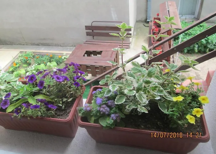 Apartament Kuca Popovic Ni